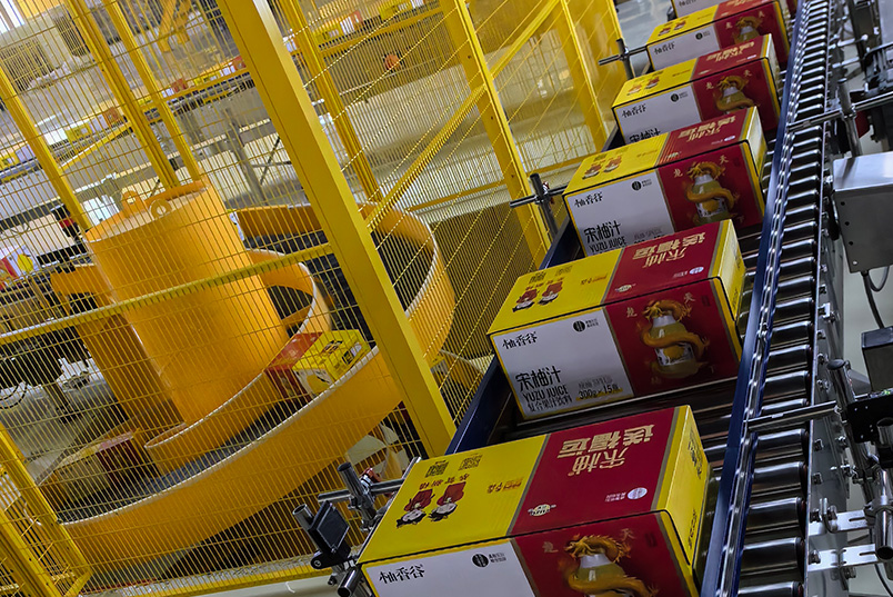 Conveyor System